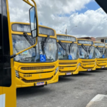 frota de ônibus amarelos parada num pátio