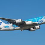 Airbus A380 no céu com pintura de tartaruga