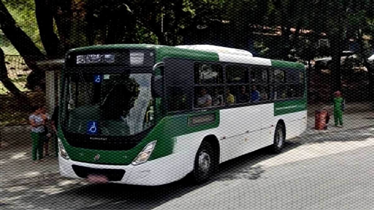 ônibus saindo de ponto em frente a um parque.